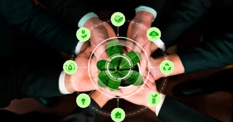 K Caara Leasing bridges traditional finance, digital transformation, and sustainability. Its offerings are popular among startups